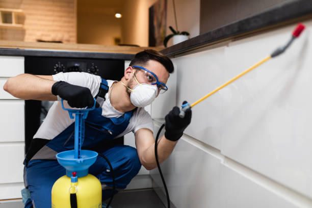 Best Commercial Pest Control Services  in Sturgeon, PA