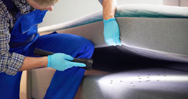 Best Mosquito Control Services  in Sturgeon, PA