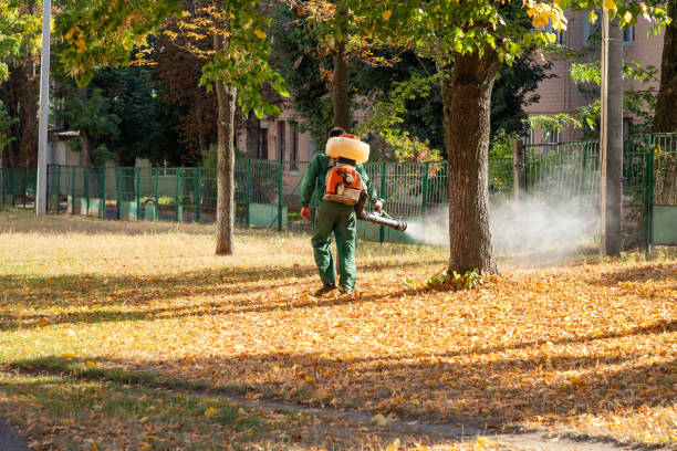 Best Flea Control Services  in Sturgeon, PA